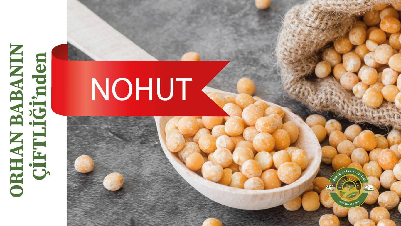 Nohut