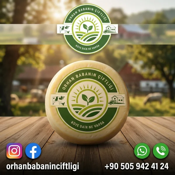 Bursa Sofraları İçin Çorum'dan: Doğal Köy Peyniri Lezzetinin Sırrı