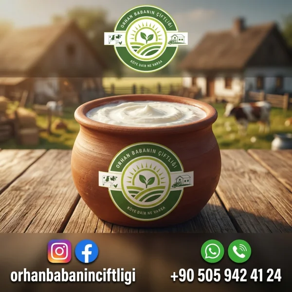 Kayseri İçin Doğal Köy Yoğurdu: Çorum'dan Sofranıza Sağlık ve Lezzet