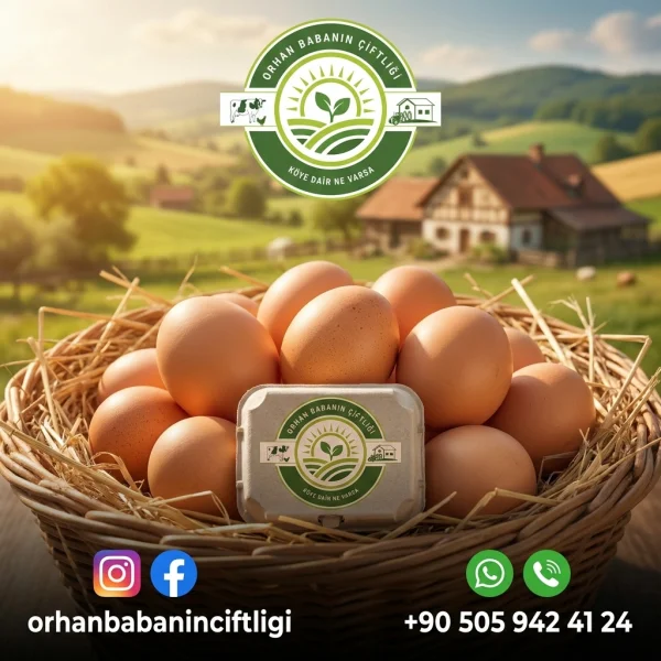 Çorum'dan Sofranıza: Gezen Tavuk Yumurtasının Büyük Palabıyık Sırrı