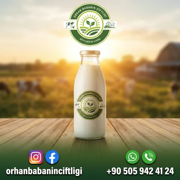 İstanbul Sofralarına Çorum'dan: Günlük Taze Sütün Yolculuğu