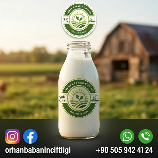 Bursa Sofralarına Çorum'dan: Günlük Taze Sütün Besleyici Sırrı