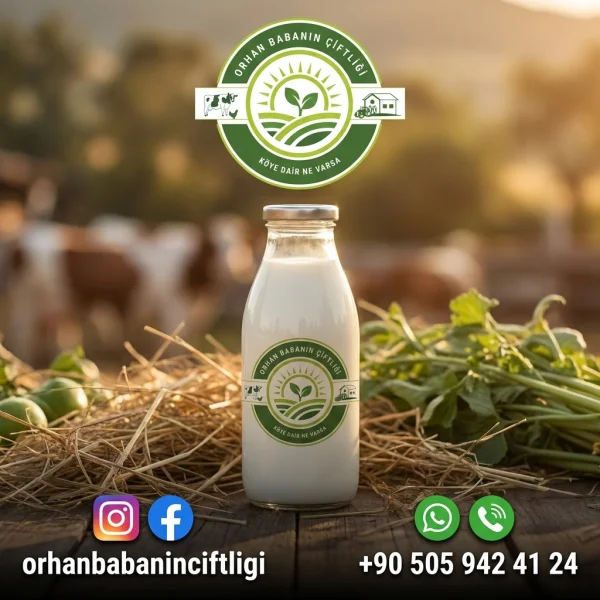 Kocaeli İçin Çorum'dan Günlük Taze Süt: Doğal Lezzetin Sırrı