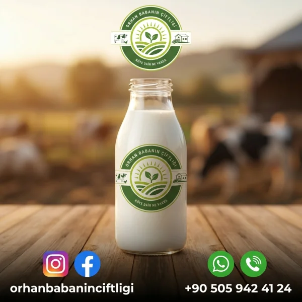 Çorum'dan Eskişehir'e: Günlük Taze Sütün Besleyici Yolculuğu