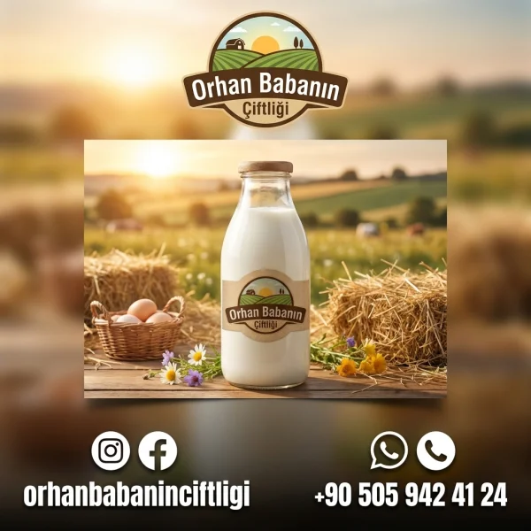 Bursa İçin Günlük Taze Süt: Çorum'dan Doğallık Sofranıza