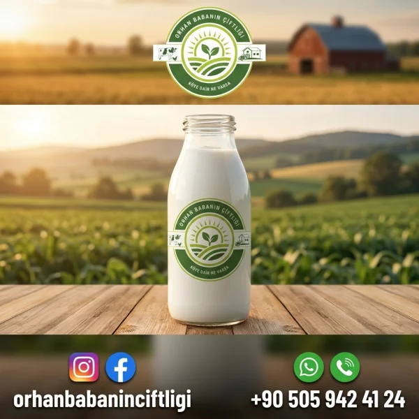 Konya İçin Günlük Çiğ Süt Faydaları: Bilimsel Gerçekler