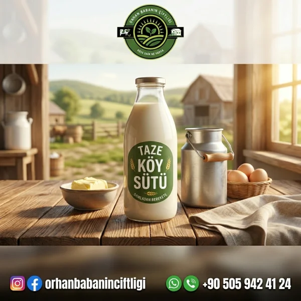 Kayseri Sofralarına Çorum'dan: Orhan Babanın Günlük Taze Süt Farkı